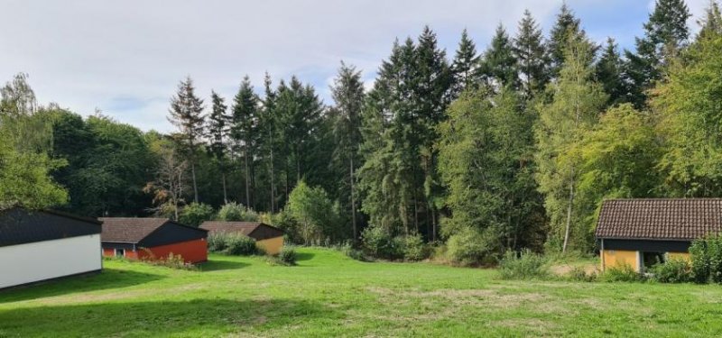 Saarburg Tolles Renditeobjekt, schöne renovierte Ferienhäuser im Ferienpark Landal GreenParks Warsberg Saarburg Haus kaufen