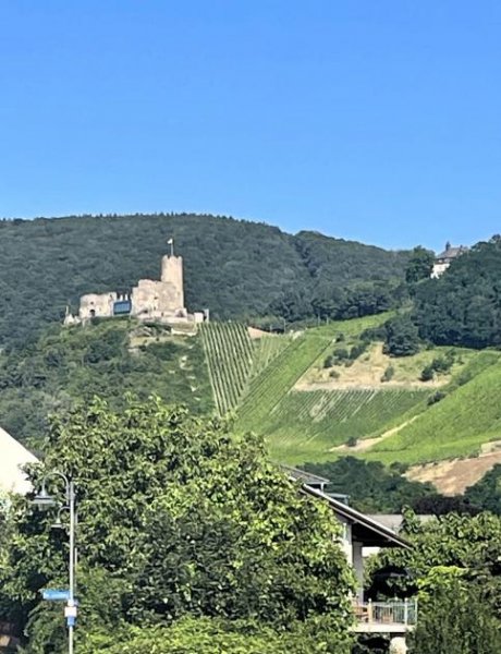 Bernkastel-Kues Neubau mit unverbaubaren Mosel- und Burgblick (Doppelhaus oder Doppelhaushälfte) Haus kaufen