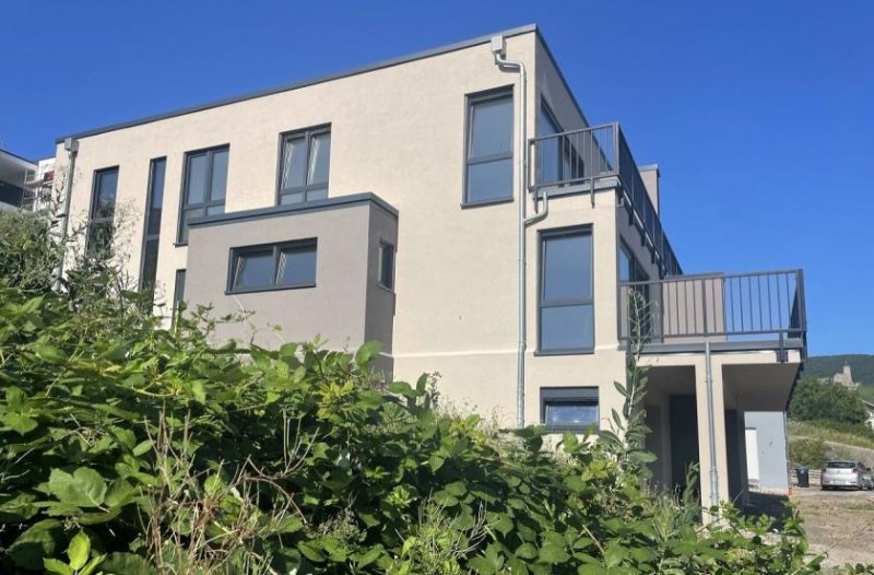 Bernkastel-Kues Neubau mit unverbaubaren Mosel- und Burgblick (Doppelhaus oder Doppelhaushälfte) Haus kaufen