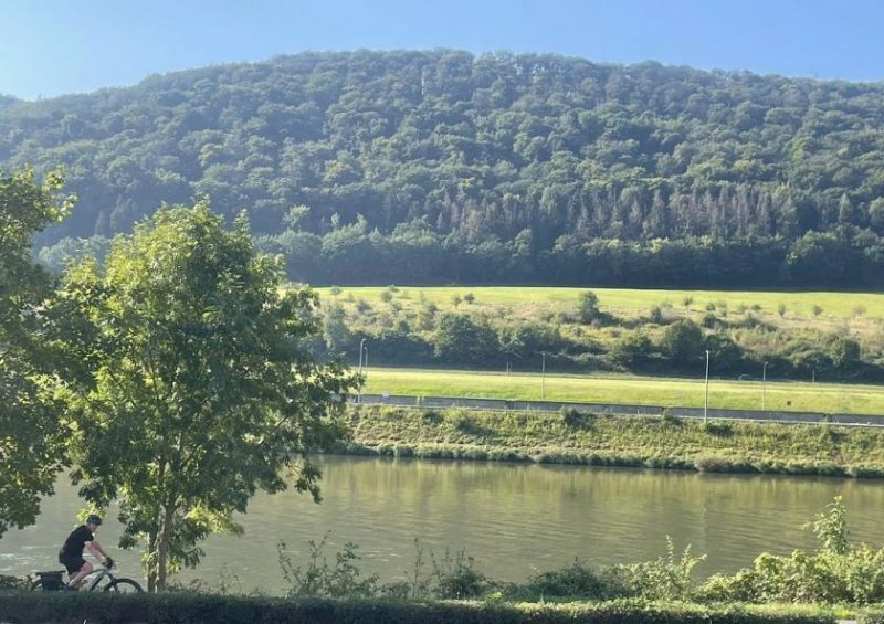 Zeltingen-Rachtig sofort bezugsfertig! Romantisches kleines Haus mit Moselblick und schöner Moselblick-Terrasse Haus kaufen