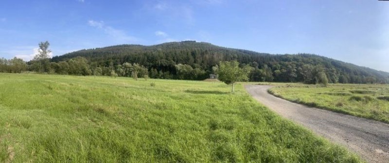 Wittlich Mühlenanwesen im Außenbereich / Nähe Wittlich in der Eifel und Mosel ( hochwasserfrei ! ) Haus kaufen