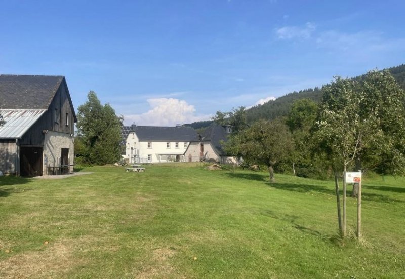 Wittlich Mühlenanwesen im Außenbereich / Nähe Wittlich in der Eifel und Mosel Haus kaufen