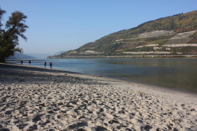 Bingen am Rhein Traumgrundstück!
Leben im malerischen UNESCO Welterbe Mittelrheintal / Nähe Bingen Grundstück kaufen