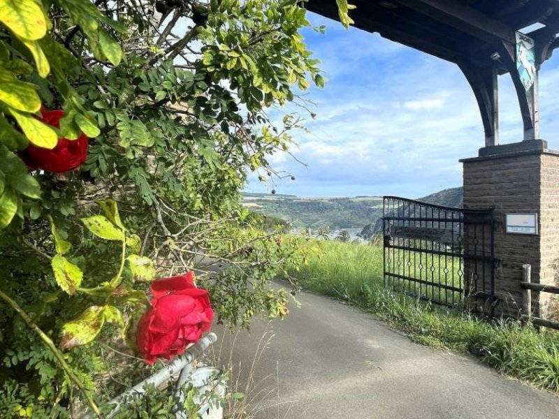 Oberwesel Pferdehof mit herrlichem Blick über den Rhein mit modernem Wohnhaus in Alleinlage Haus kaufen