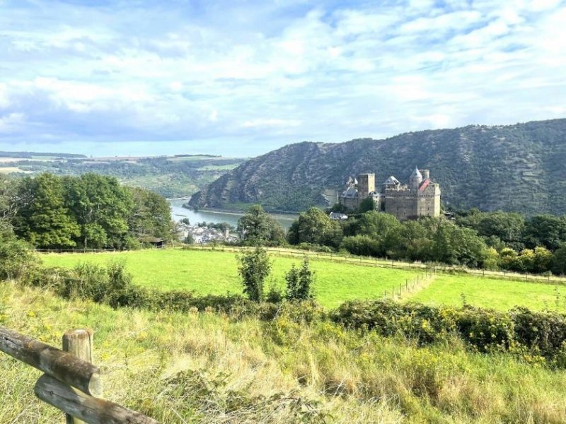 Oberwesel Pferdehof mit herrlichem Blick über den Rhein mit modernem Wohnhaus in Alleinlage Haus kaufen