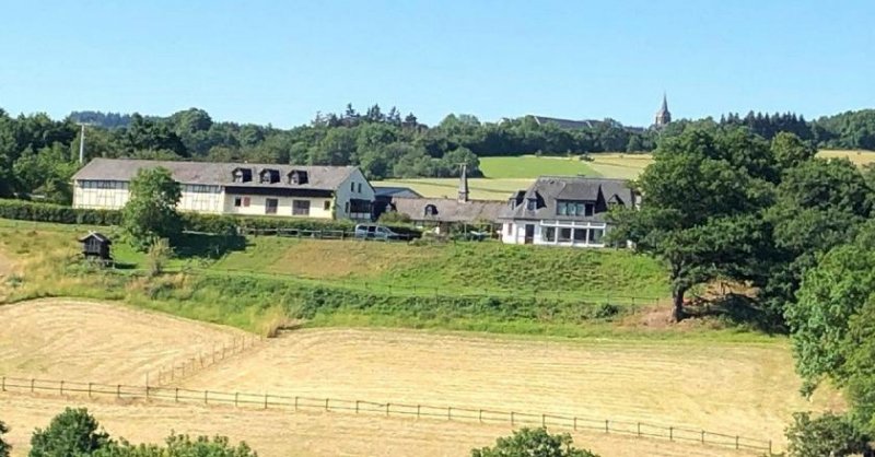 Oberwesel Pferdehof mit herrlichem Blick über den Rhein mit modernem Wohnhaus in Alleinlage Haus kaufen