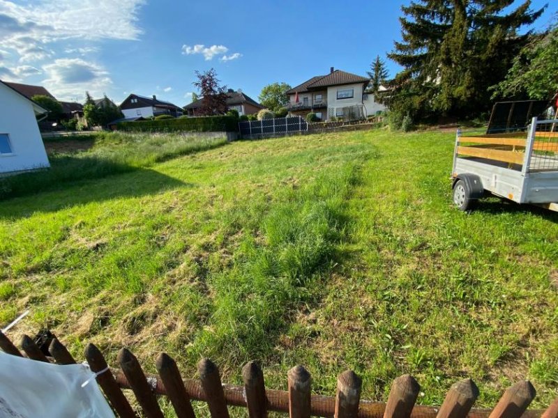 Nußbaum Preisreduzierung - wunderschönes Baugrundstück im Herzen von Nußbaum Grundstück kaufen