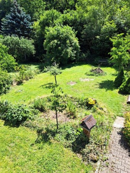 Raumbach Gemütliches Einfamilienhaus mit einem schönen Gartengrundstück in Raumbach/Meisenheim zu verkaufen Haus kaufen