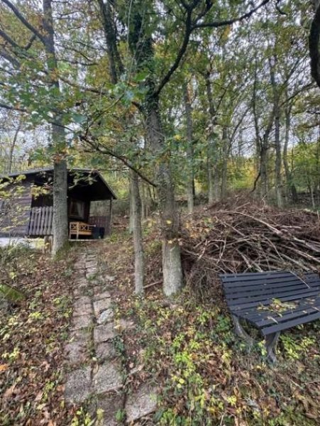 Kirn Ein Traum mitten im HUNSRÜCK! Hallenbad Sauna samt Grillhütte 3 Garagen dabei. Fernsicht kostenlos! Haus kaufen