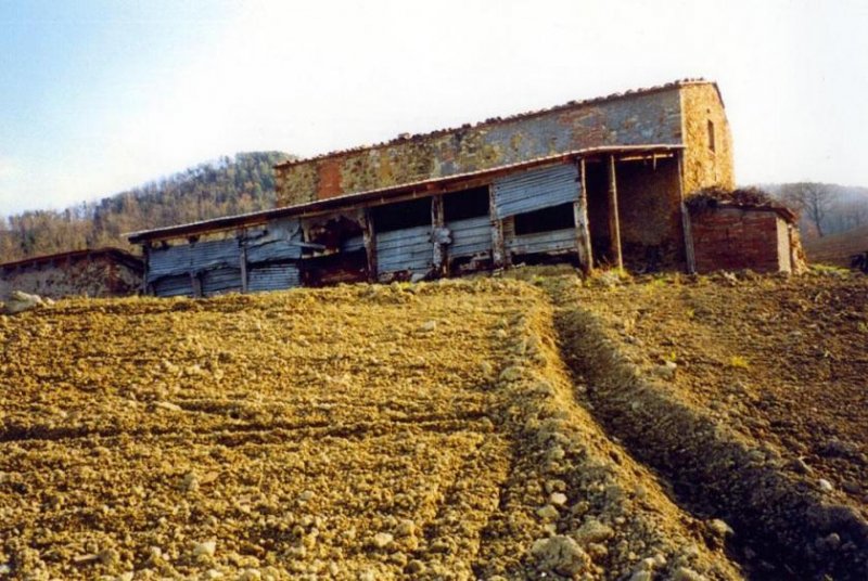 Casale Marittimo Zu Renovierendes Landhaus mit Blick auf die toskanische Landschaft Haus kaufen