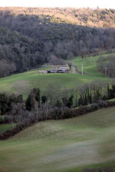 Casale Marittimo Zu Renovierendes Landhaus mit Blick auf die toskanische Landschaft Haus kaufen