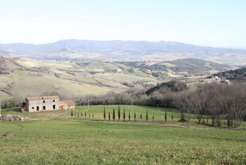 Casale Marittimo Zu Renovierendes Landhaus mit Blick auf die toskanische Landschaft Haus kaufen