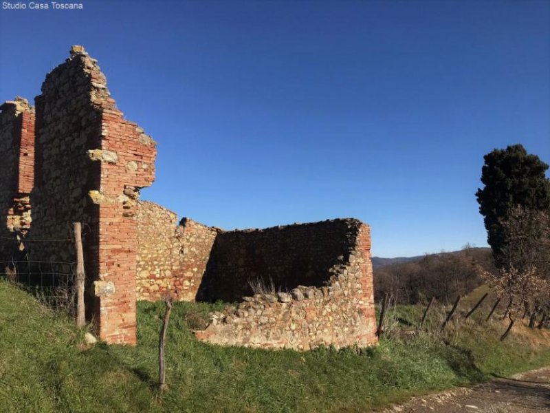 Castelnuovo di Val di Cecina Schönes altes Bauernhaus zu restaurieren mit viel Grund, ideal als BIO-Bauernhof Haus kaufen