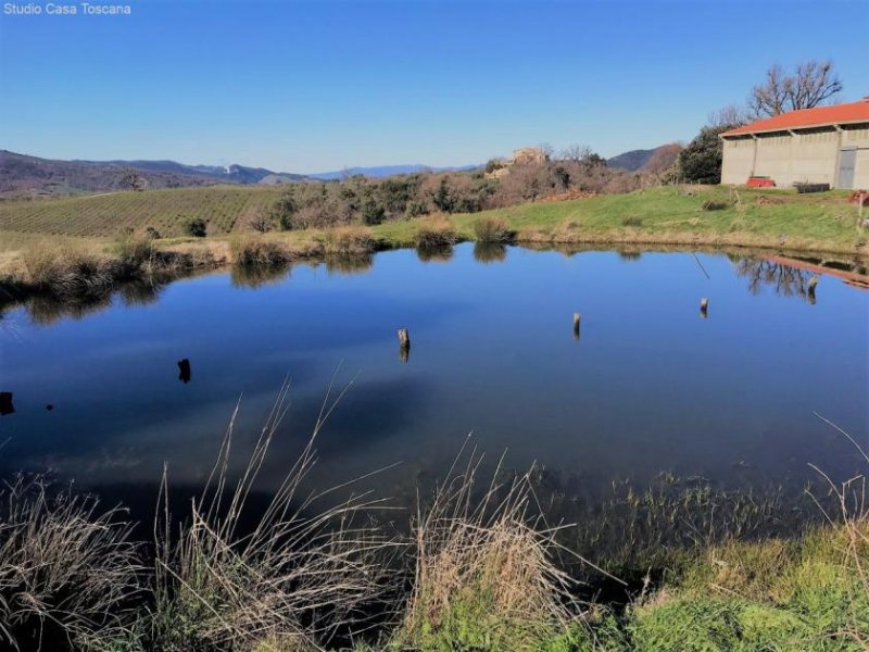 Castelnuovo di Val di Cecina Schönes altes Bauernhaus zu restaurieren mit viel Grund, ideal als BIO-Bauernhof Haus kaufen