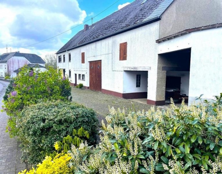 Auderath Eifel-Bauernhaus im ruhigen Ort Nähe Ulmen mit 3.134 qm Land, Scheune, Stallungen und Bauland Haus kaufen