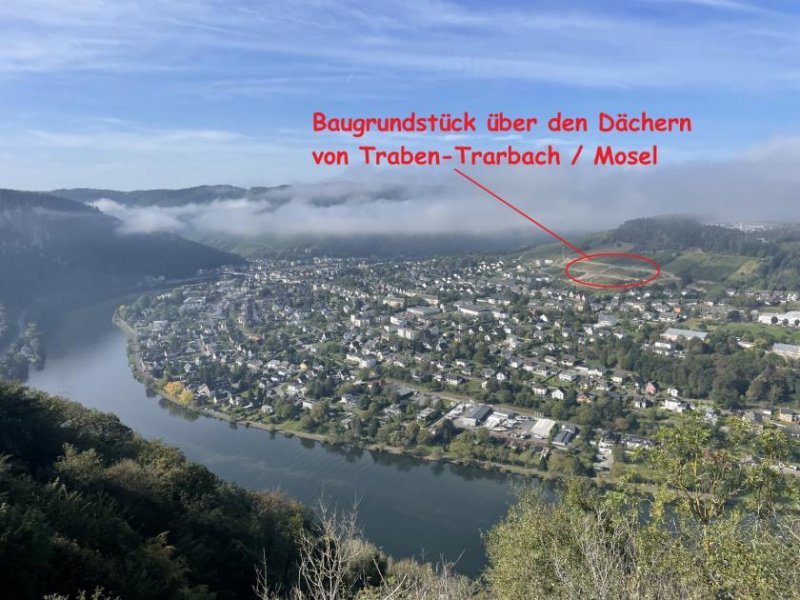 Traben-Trarbach exzelentes Baugrundstück (noch nicht erschlossen) in Traben mit Fernsicht über die Mosel und Weinberge Grundstück kaufen