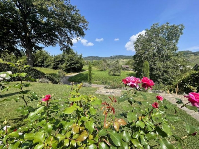 Traben-Trarbach modernes Wohnhaus in sehr schöner und ruhiger Lage mit Fernsicht (Mosel) Haus kaufen