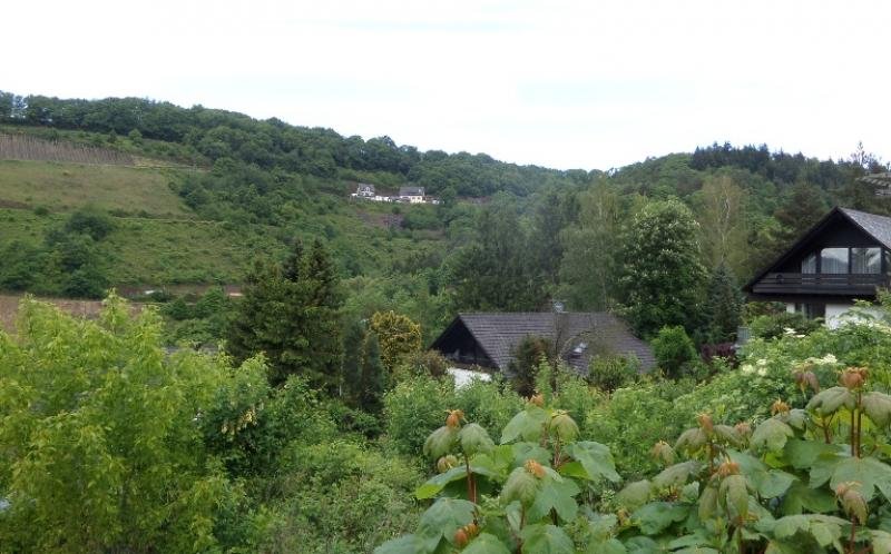 Bullay Wohnen am "Tor zur Mittelmosel" Haus kaufen