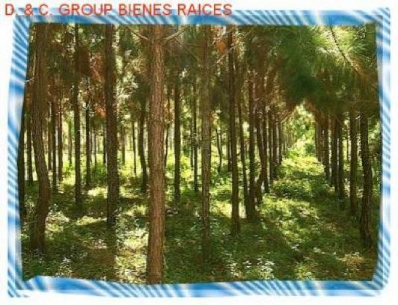 Rio San Juan Riesiges Grundstück (Finca) mit 320.000m² Grundstück kaufen