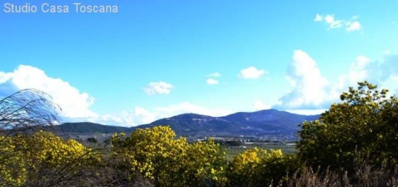 Gavorrano Landwirtschaftliches Anwesen mit 36 Hektar Land in Meernaehe Haus kaufen