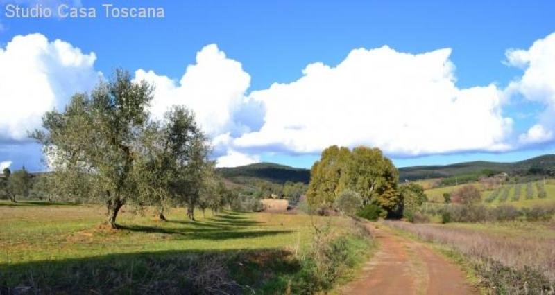 Gavorrano Landwirtschaftliches Anwesen mit 36 Hektar Land in Meernaehe Haus kaufen