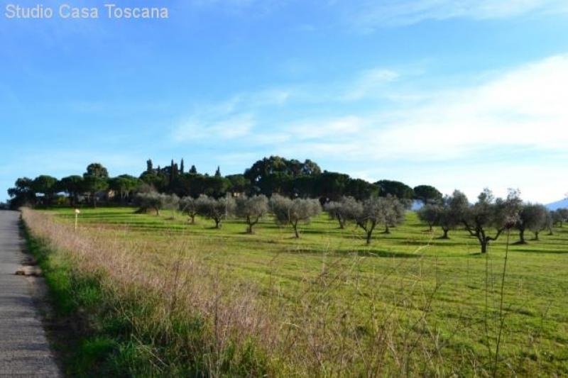 Gavorrano Landwirtschaftliches Anwesen mit 36 Hektar Land in Meernaehe Haus kaufen