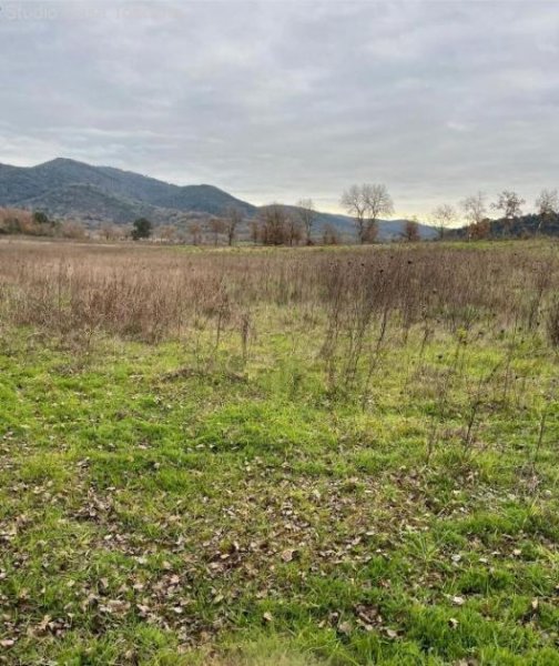 Caldana Land und Nutzgebäude in der Gemeinde Gavorrano 18 km vom Meer Grundstück kaufen