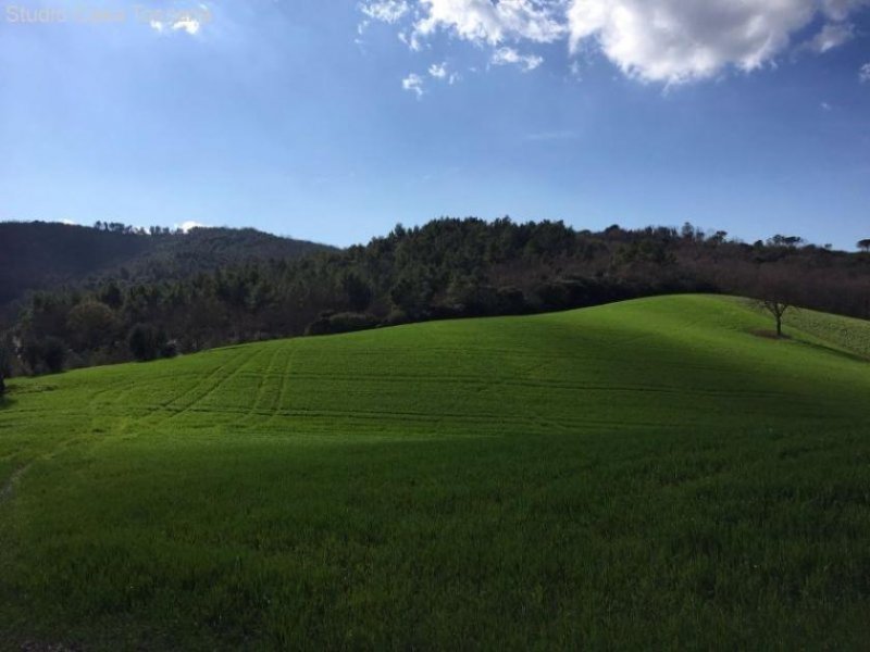 Castellaccia Landwirtschaftliches Anwesen mit insgesamt 41 ha Haus kaufen