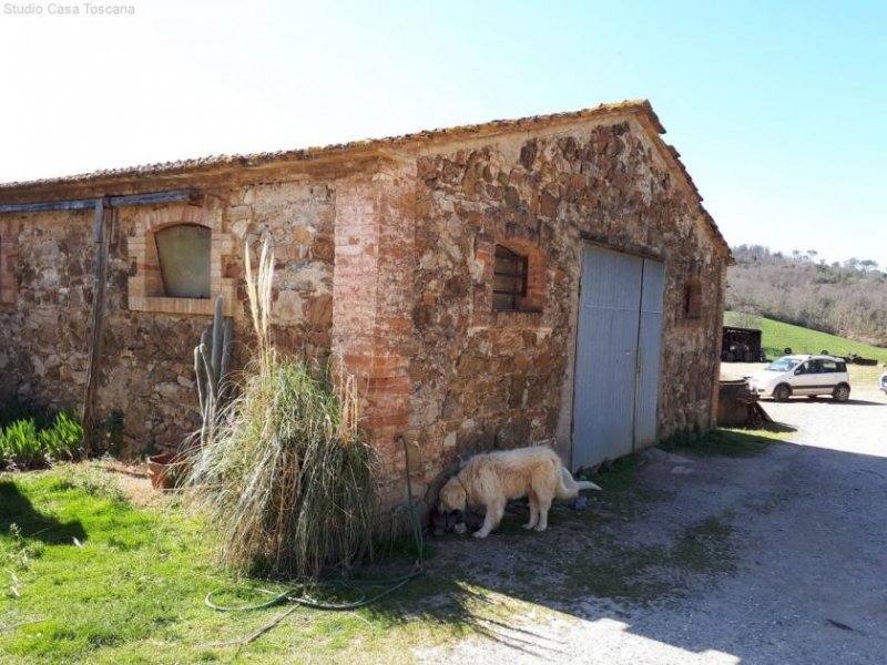 Castellaccia Landwirtschaftliches Anwesen mit insgesamt 41 ha Haus kaufen