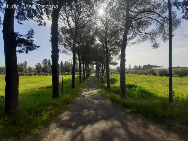 Gavorrano Ländliches Anwesen/Agriturismo in strategischer Lage Haus kaufen