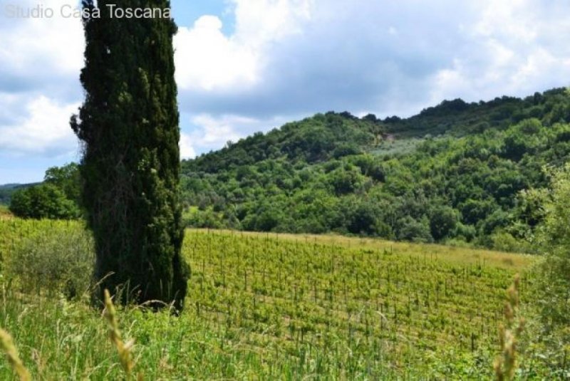 Seggiano Landwirtschaftliches Anwesen mit Weinberg, Olivenhain und Agriturismus Haus kaufen