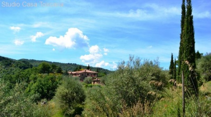 Seggiano Landwirtschaftliches Anwesen mit Weinberg, Olivenhain und Agriturismus Haus kaufen