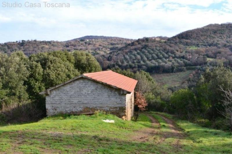 Montorgiali Landhaus im Weinanbaugebiet Morellino DOC Haus kaufen