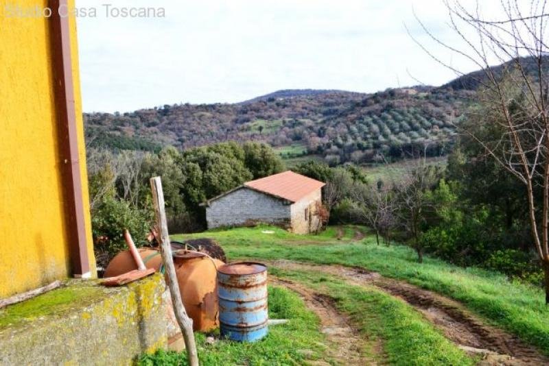 Montorgiali Landhaus im Weinanbaugebiet Morellino DOC Haus kaufen