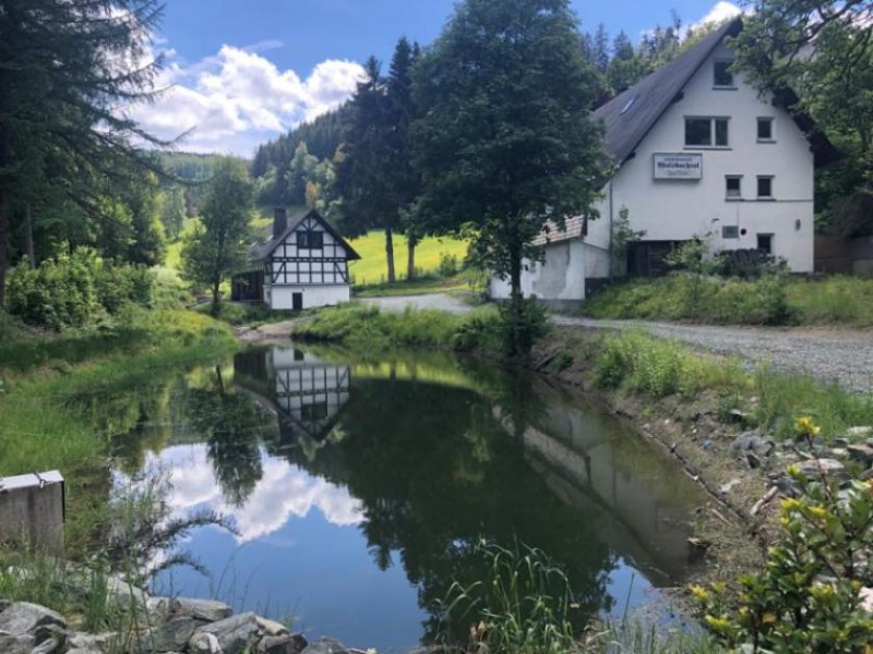 Winterberg FERIENUNTERKUNFT mit großem Grundstück & Ausbaupotential in wunderschöner NATUR Lage in Winterberg Gewerbe kaufen