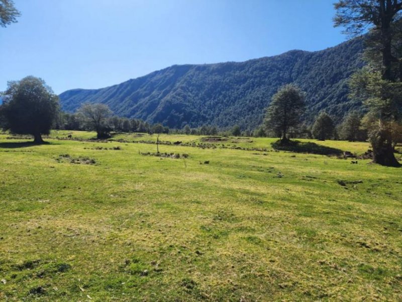 Puerto Aysen Exklusiver Farmbetrieb in der Region Aysén, Patagonien Haus kaufen