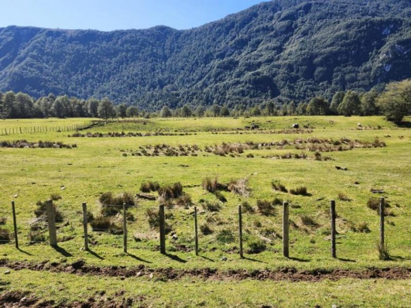 Puerto Aysen Exklusiver Farmbetrieb in der Region Aysén, Patagonien Haus kaufen