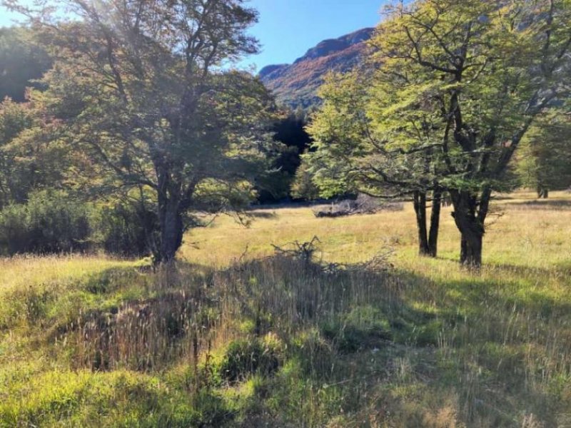 Rio Ibañez Großflächiges Grundstück in der Region Aysén, Patagonien Grundstück kaufen