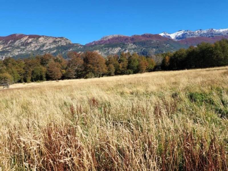 Rio Ibañez Großflächiges Grundstück in der Region Aysén, Patagonien Grundstück kaufen