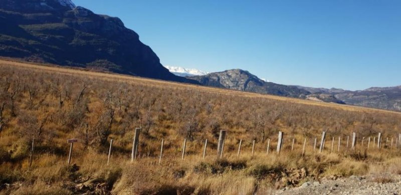 Río Ibáñez Patagonien: Grundstück an der Straße zum Rio Ibañez Grundstück kaufen