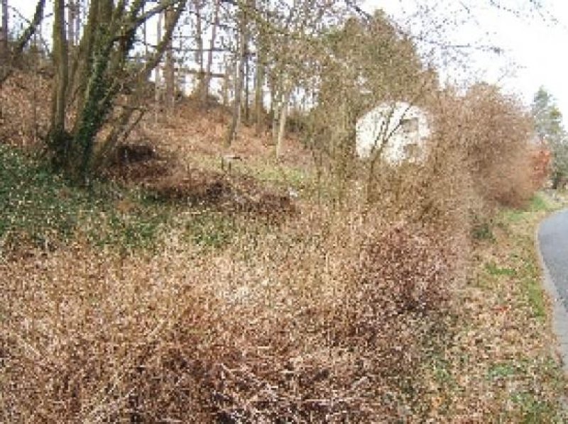 Weilrod Grosszügiges Baugrundstück im Hochtaunus Grundstück kaufen