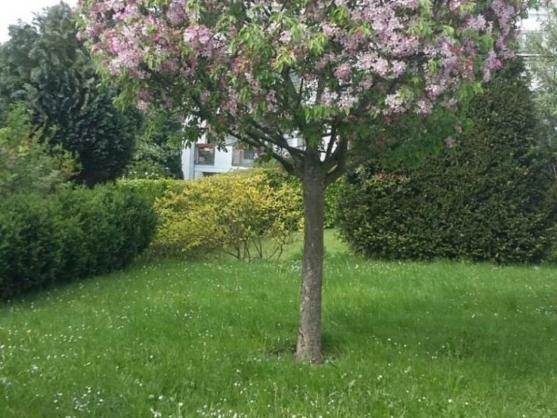 Glashütten Hohe Wohnqualität in Glashütten Haus kaufen