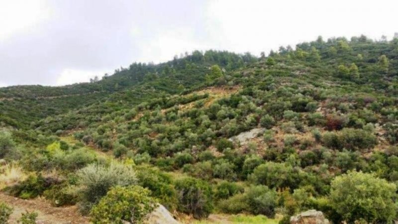 Sarti Chalkidiki Starke Preisreduzierung :Wunderschönes Traum Grundstück von 13.502 qm mit einmaligem Blick aufs Meer von Sarti Chalkidike .