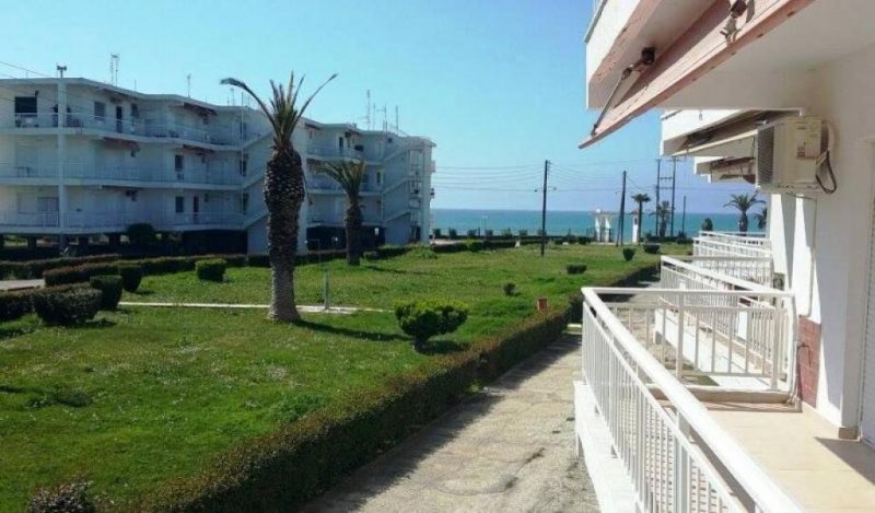 Sozopoli Chalkidiki Neu Preis :Wunderschöne 2 zimmer möblierte Wohnung vor dem Strand in Sozopoli Chalkidike Wohnung kaufen