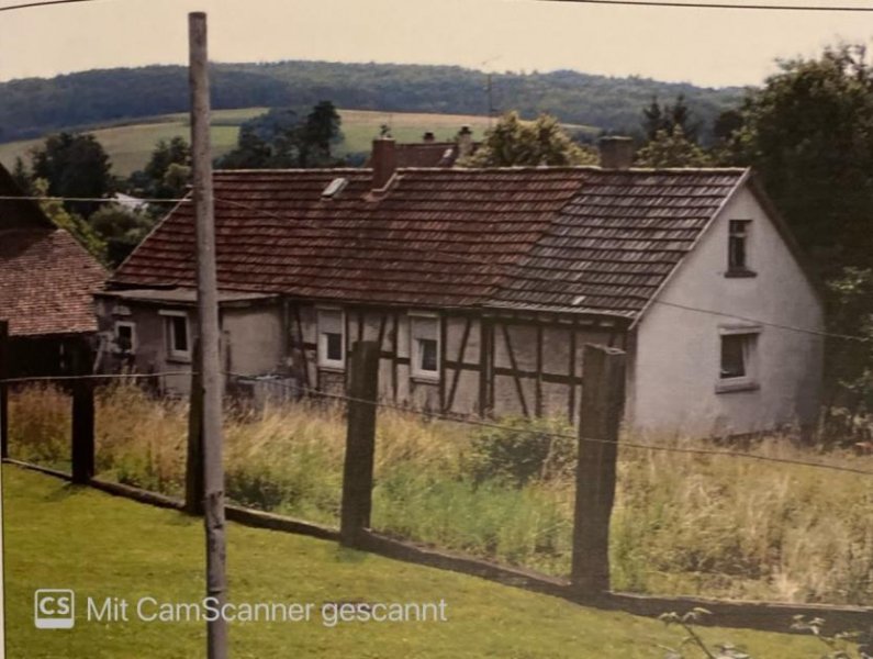 Ortenberg Ein-Zweifamilienhaus -ehemalige Hofreite mit Nebengebäude (Scheune) und 2700m2 großem Grundstück Haus kaufen