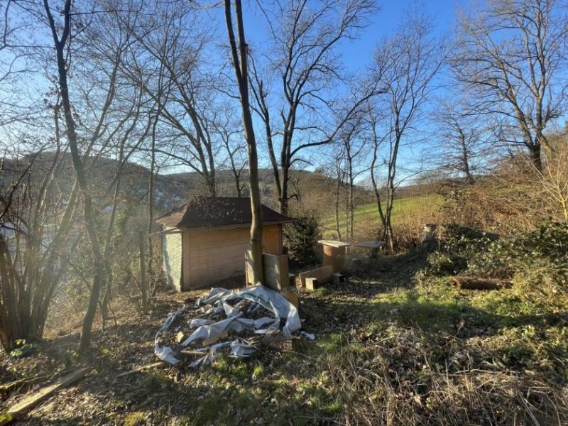 Mömbris DIETZ: Waldgrundstück mit genehmigter Hütte direkt gegenüber der Feuerwehr von Mömbris! Grundstück kaufen