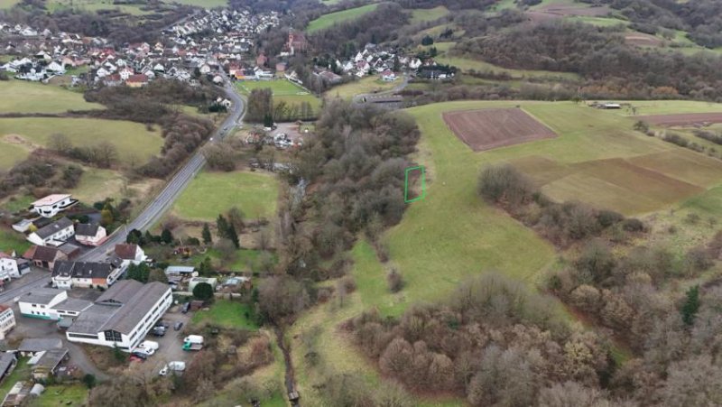 Bessenbach DIETZ: Wiesengrundstück in einer eingezäunten Fläche! Zuwegung über Schotter + Ackerweg/Wiesenfläche Grundstück kaufen