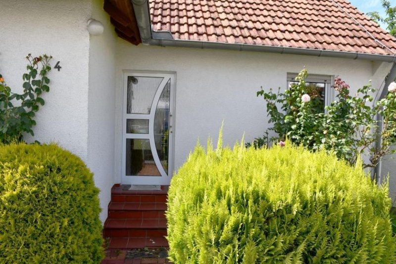 Ober-Ramstadt Großes Potenzial: Ein- bis Zweifamilienhaus mit wunderschönem Fernblick in Ober-Ramstadt/Eiche Haus kaufen