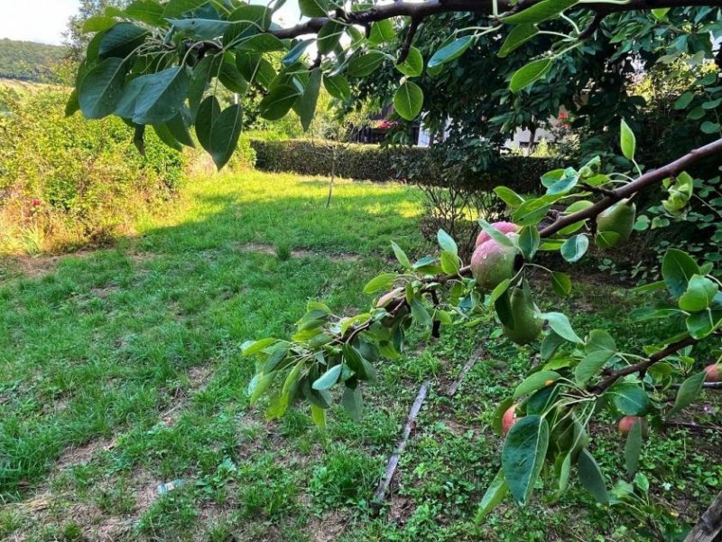 Ober-Ramstadt **RESERVIERT** Großes Potenzial: Ein- bis Zweifamilienhaus mit wunderschönem Fernblick in Ober-Ramstadt/Eiche Haus kaufen