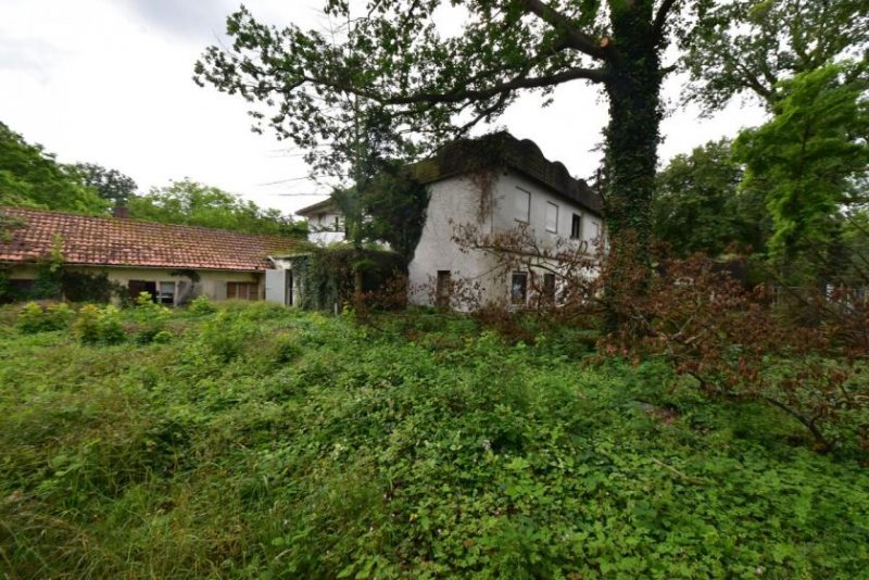 Babenhausen DIETZ: Gebäude mit vielen Nutzungsmöglichk.: Event-Location, Vergnügungsstätte, Wohnungen oder Büro Haus kaufen